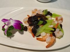 -云中小雅