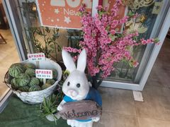 -苗小坛酸汤鱼(酒仙桥店)