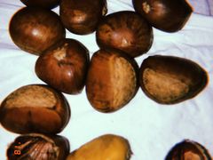 -阿男野栗王(金门路店)