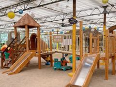 -南宫五洲植物乐园