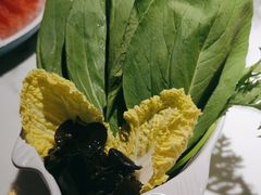 -无界釜·河豚鱼汤锅(红山动物园店)