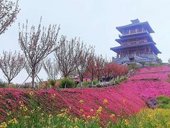 -古柏渡飞黄旅游区