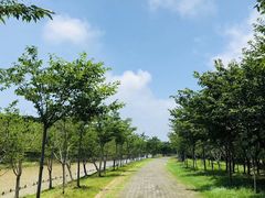 -上海海湾国家森林公园