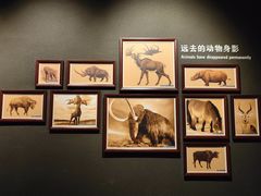 -大庆市博物馆