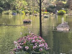 -深圳仙湖植物园