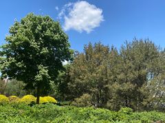 -莲花池公园