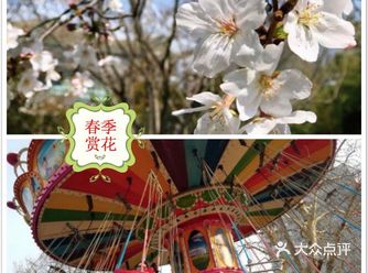 春天萌芽之时 来个回忆杀