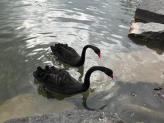 -上海怡沁园度假酒店
