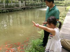 -合肥滨湖国家森林公园