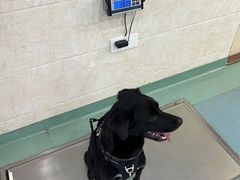 -动物缘宠物医院·骨科·猫科(西二环店)