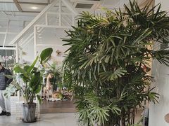 -ins森林童话餐厅coffee&bistro