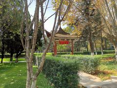 -云南师范大学(一二一西南联大校区)