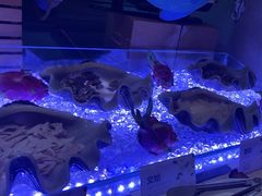 -长沙三景韦尔斯利酒店·Oval全日制餐厅自助餐