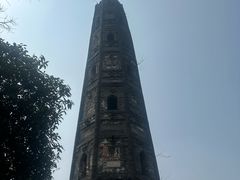 -上海佘山国家森林公园天马山园