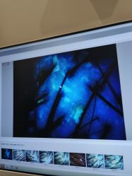 -史云逊养发护发