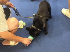 -上海新国际博览中心-P1立体停车场