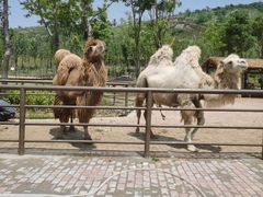 -南京金牛湖风景区