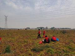 -解家河南菜(商鼎路店)