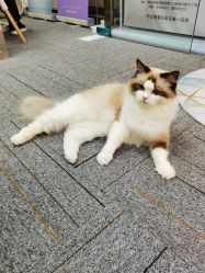 -元一肌肤管理中心