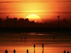 -南汇嘴观海公园