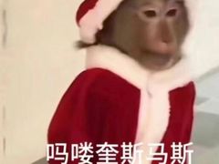 -长藤鬼校(龙翔店)