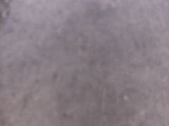 -解家河南菜(金水路店)