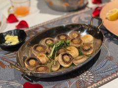 -一棵树·意大利西餐厅One Tree(新城店)