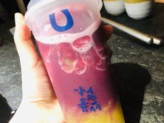 -春丽小马(济南恒隆广场店)