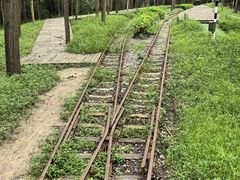 -合肥滨湖国家森林公园