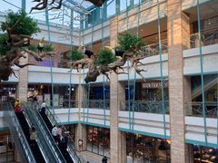 -大族广场Mall&More