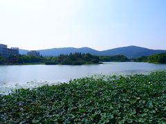 -江南大学(蠡湖校区)