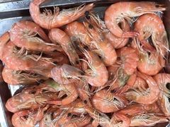 -阿鸟农庄(石壁店)