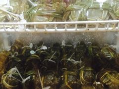 -靓靓蒸虾(中山公园店)
