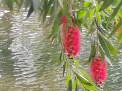 -晓港公园