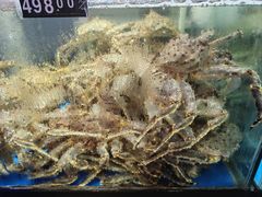 -蟹之国·精品蟹料理(极地店)