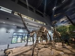 -自贡恐龙博物馆