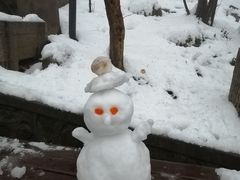 -紫金山索道-售票处