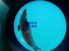 -青岛海底世界-水族馆