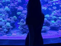 -太平洋海底世界