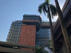-香港大学