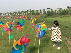 -洪湖湿地生态园