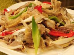 -马黑哥椒麻鸡(清江山水店)