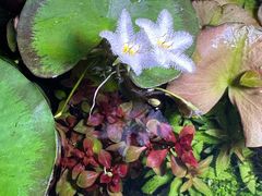 -三旗百汇商品城