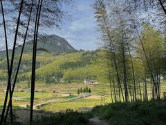 -泽雅景区