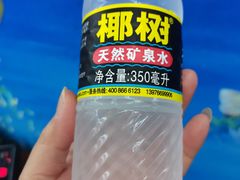 -范饭椰林川湘味海鲜·椰子鸡(三亚湾椰梦长廊店)