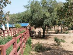 -石家庄市动物园