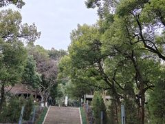 -府山公园