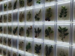 -广东中医药博物馆
