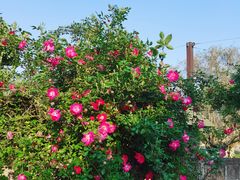 -东钱湖旅游度假区