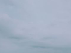 -碧海金沙